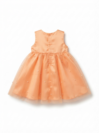 Apricot Blossom Gown