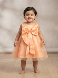 Apricot Blossom Gown