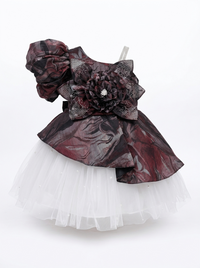 Blossom Belle Dress
